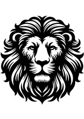 Obraz premium A majestic lion stares intensely, isolated on white background