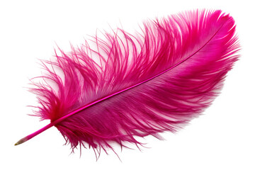 pink feather isolated on a white background or transparent png. ai