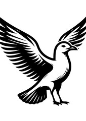 Seagull in flight with outstretched wings, a symbol of coastal freedom