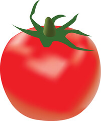 Tomato Illustration, Fresh Vegetable Clipart