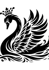 A black and white swan with a crown swims in the water