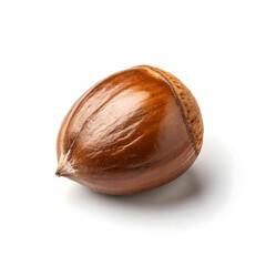 Dried loquat seeds are traditionally used in herbal medicine for respiratory