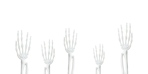 Halloween skull hands with a transparent background PNG