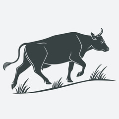 black and white rhino