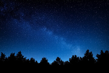 Captivating starry night sky over dark silhouette of trees