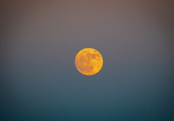 full moon in the sky © Scott