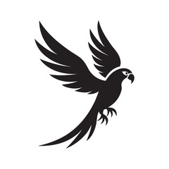 Obraz premium Parrot Flying With Tail Fully Spread