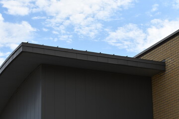 Roofline on large community center. Steel and brick construction.