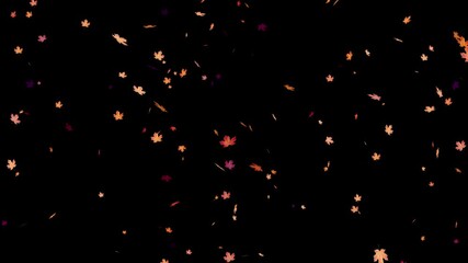 Autumn leaves falling against black background, Falling autumn leaves 4K animation video with a green screen background. Orange leaves flutter down fall season. falling autumn leaves. - Powered by Adobe