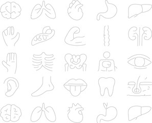 Medical Body Diagram Pack: Organs, Bones & Systems in Line Art Style | EPS + PNG