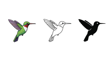 Hummingbird Illustration Set Color Outline and Silhouette Versions for Design Projects
