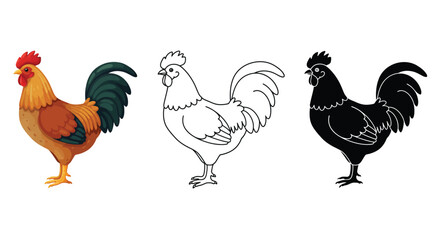 Rooster Illustration Set Color Outline and Silhouette Versions of a Farm Animal