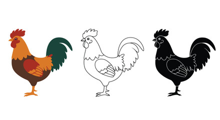 Three rooster illustrations colored outline and silhouette on a white background