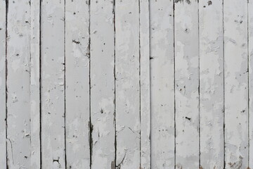 Old white painted fence. Several layers of old white paint.