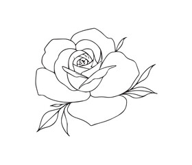 Elegant black and white line art drawing of a blooming rose with leaves flower petal