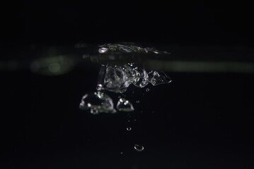 Bulles aquarium