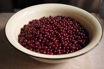 Close-up of ripe red cherries in a vintage enamel bowl placed on a wooden kitchen surface. Natural...