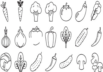 Thin Line Vegetable Vector Set - Broccoli, Potato, Onion & 12 More (EPS)