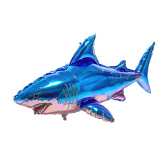 Blue shark is floating in the air