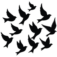 Fototapeta premium A flock of birds flying in formation against a white background silhouette