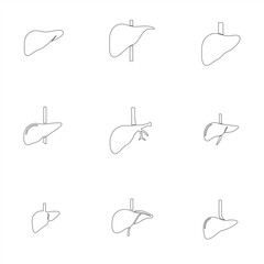set of vector liver line art bundle pack collection 