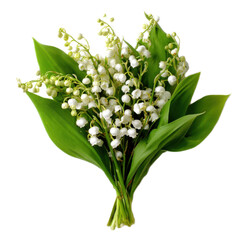 Bunch of white flowers with green leaves
