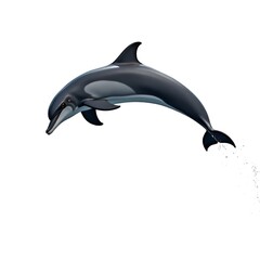 Fototapeta premium Jumping dolphin isolated on white background realistic elegant marine animal