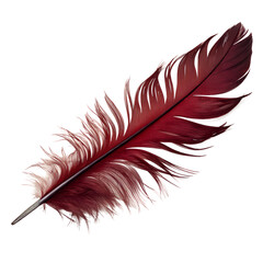 Dark Red Feather Isometric Vector – Elegant Decorative Feather Illustration in Deep Crimson Tone

