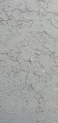 old wall texture - old paint