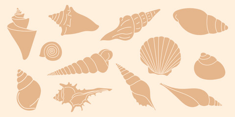 Decorative shells on white background. Sea-themed collection marine elements for summer crafts, packaging, branding, design projects, backgrounds, prints.