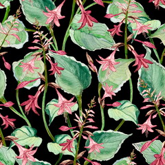 Seamless watercolor pattern with hosta leaves and red flowers on black background.
