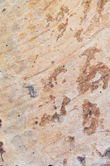 Natural stone texture background for design projects
Close-up of a brown rocky surface with organic patterns and earthy tones.