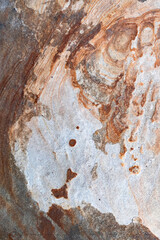Abstract rock texture for architecture and wall mockups
Rough mineral surface ideal for use in...