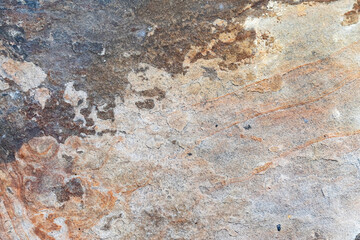 Natural stone texture background for design projects
Close-up of a brown rocky surface with organic patterns and earthy tones.