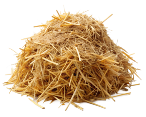 pile of hay isolated on white background. PNG Transparent file type with high definition quality And vibrant color grading Available.
