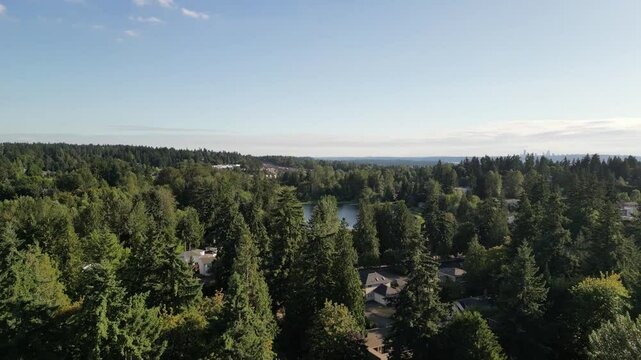 Forbes Lake Kirkland Washington Looking S/SW, Seattle and Lake Washington In Background