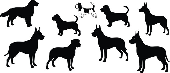 Dog silhouettes collection cad drawing flat vector illustration, eight canine breeds in black and white, front view animal design layout