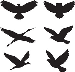 Flying Bird Silhouette Vector Set with 6 Species in Unique Wing Positions
