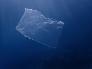 plastic bag underwater ocean pollution