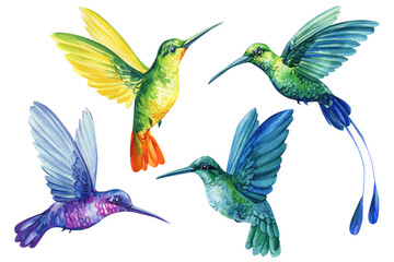 Hummingbirds watercolor clipart set tropical birds flying green blue yellow orange illustration for wall art, invitations fabric