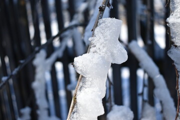 icicles on a fence