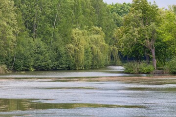 river in the woods in Sosnowiec - Silesia - Poland