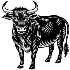 vector illustration of a bull
