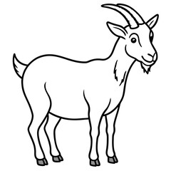 goat vector illustration