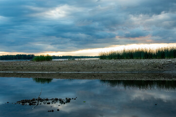 reflection of trees in water