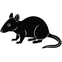 Fototapeta premium Black bandicoot vector illustration marsupial mammal