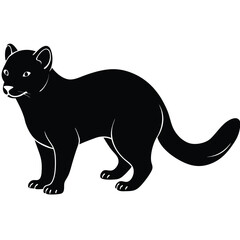 Fototapeta premium Black Fossa Silhouette Standing Alertly animal white