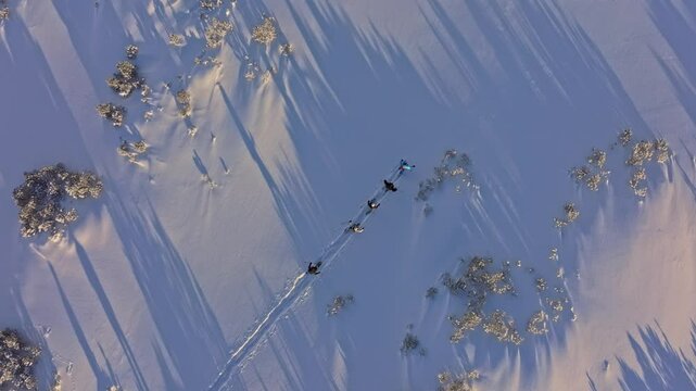Hikers crossing powdery snowfields on snowshoes in Obertauern