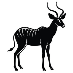 Fototapeta premium Black Silhouette of a Greater Kudu Antelope with Spiral Horns animal wildlife