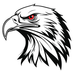 Obraz premium american bald eagle